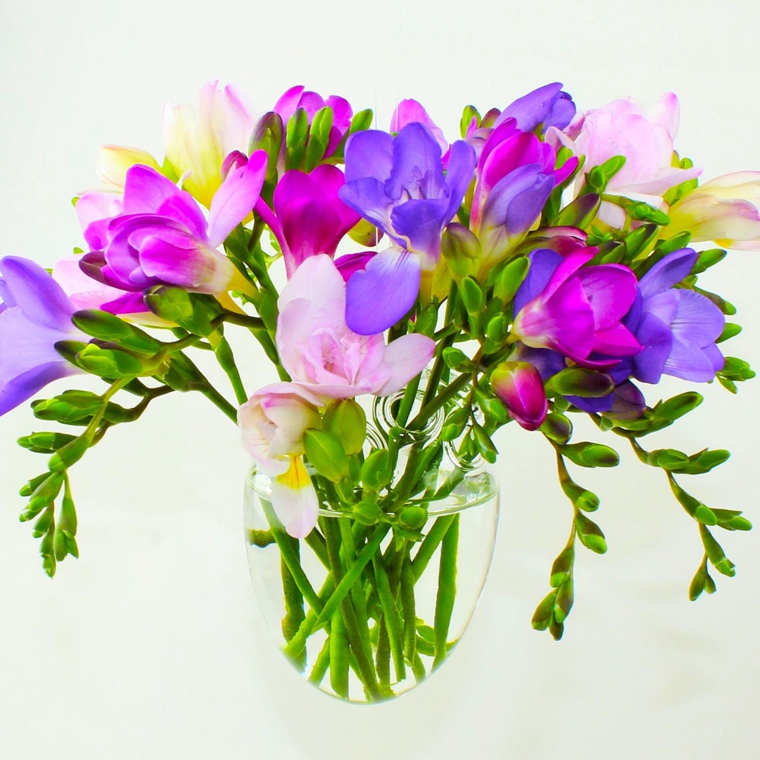 Vase "Oeuf