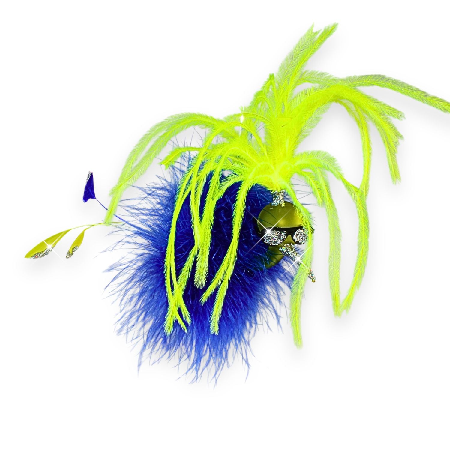 Kolibri Don Flatterino