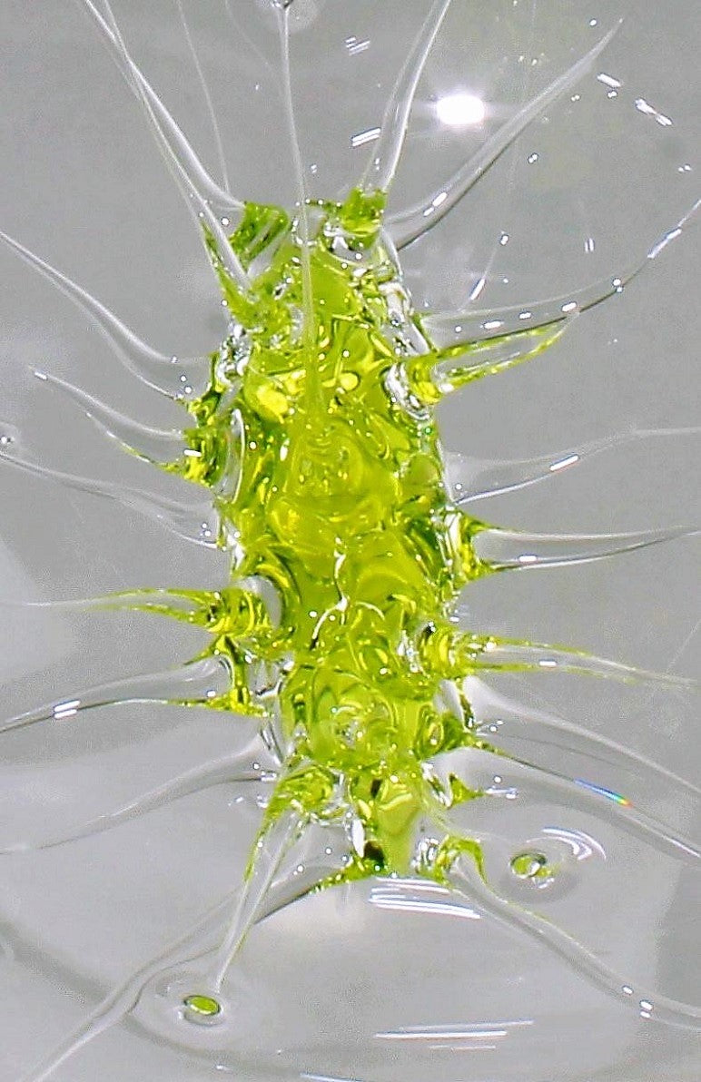 Palla ragno ultra verde