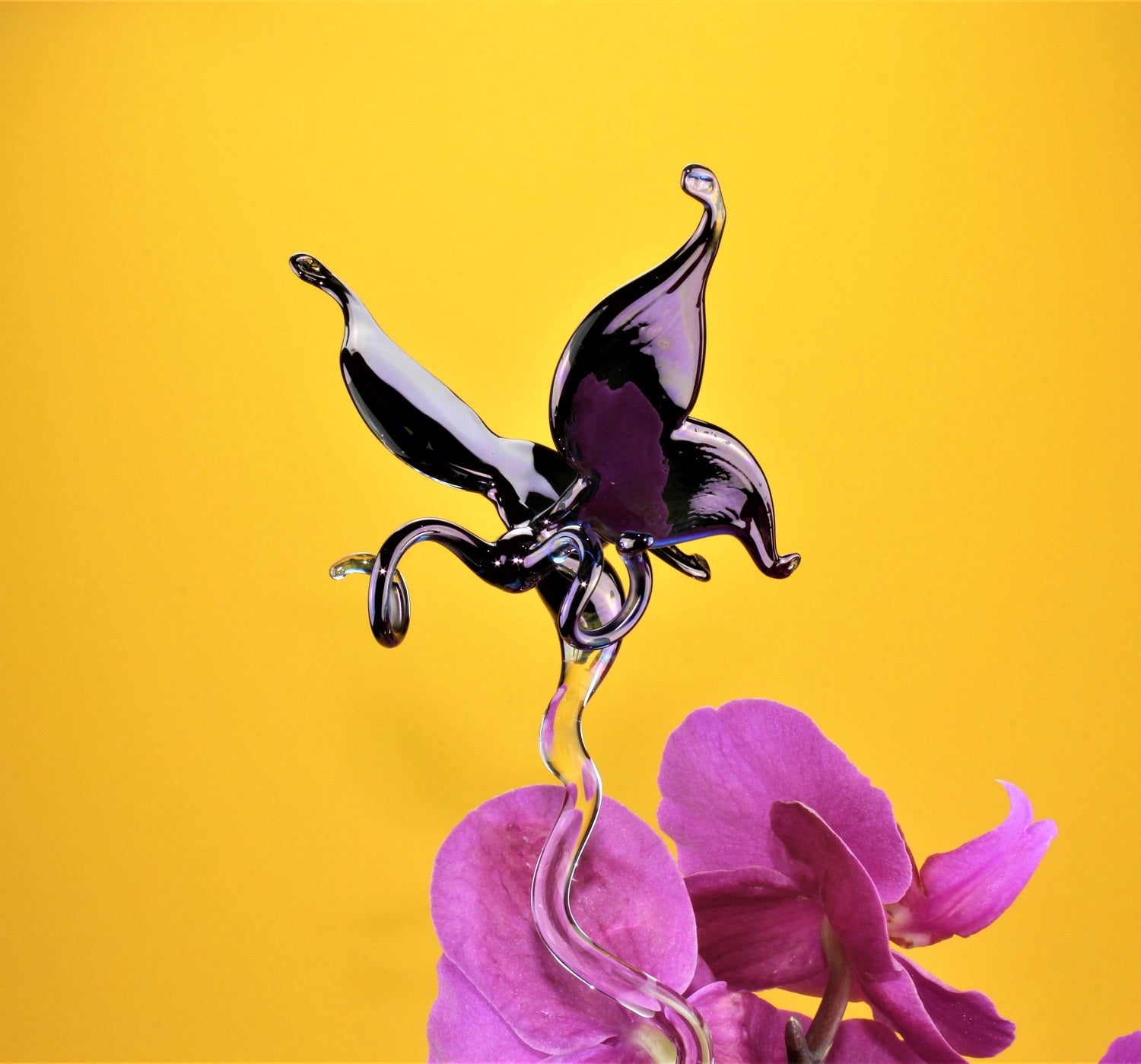 Orchideen Stab farbig , Schmetterling