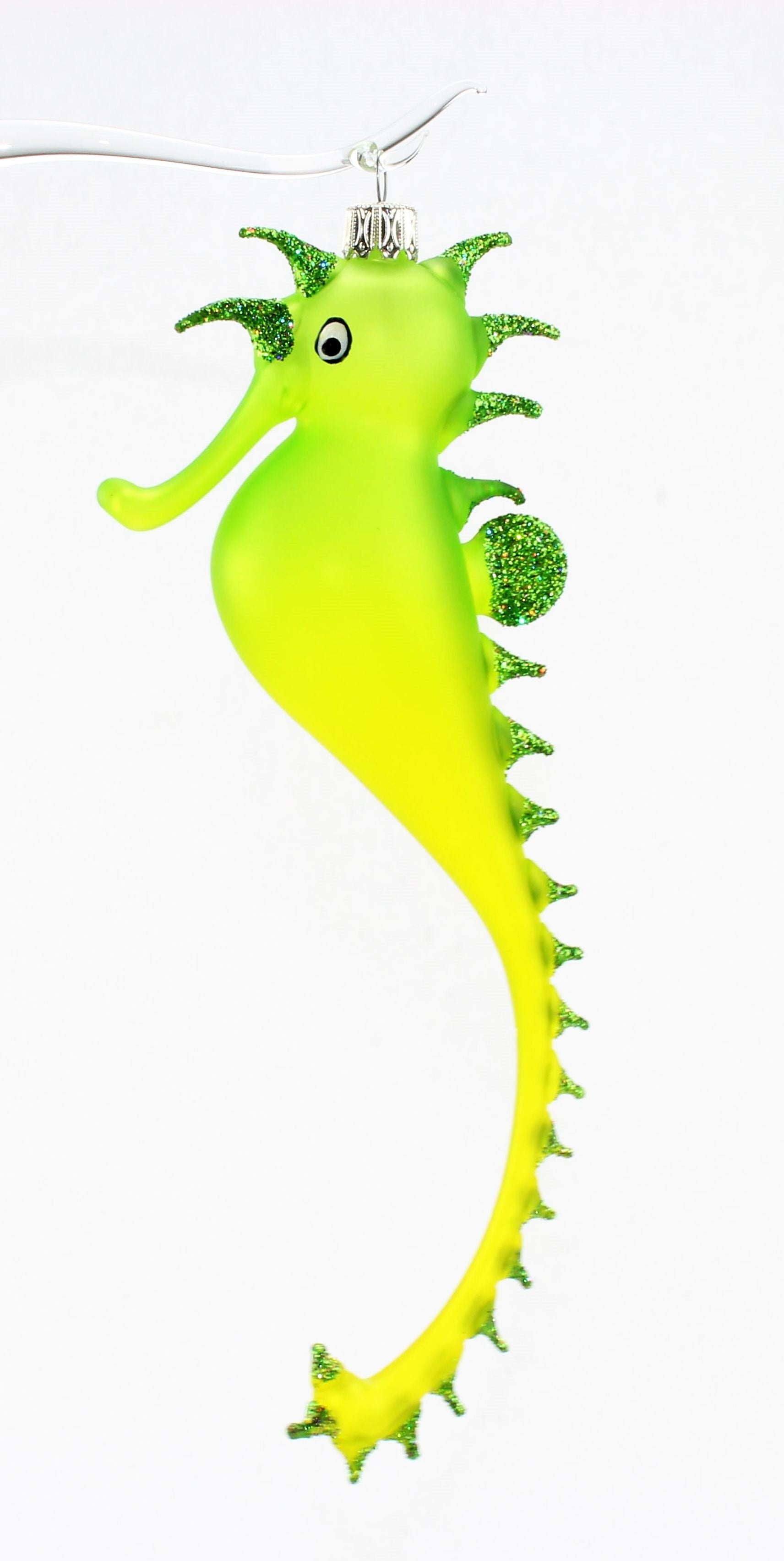 Hippocampe multicolore