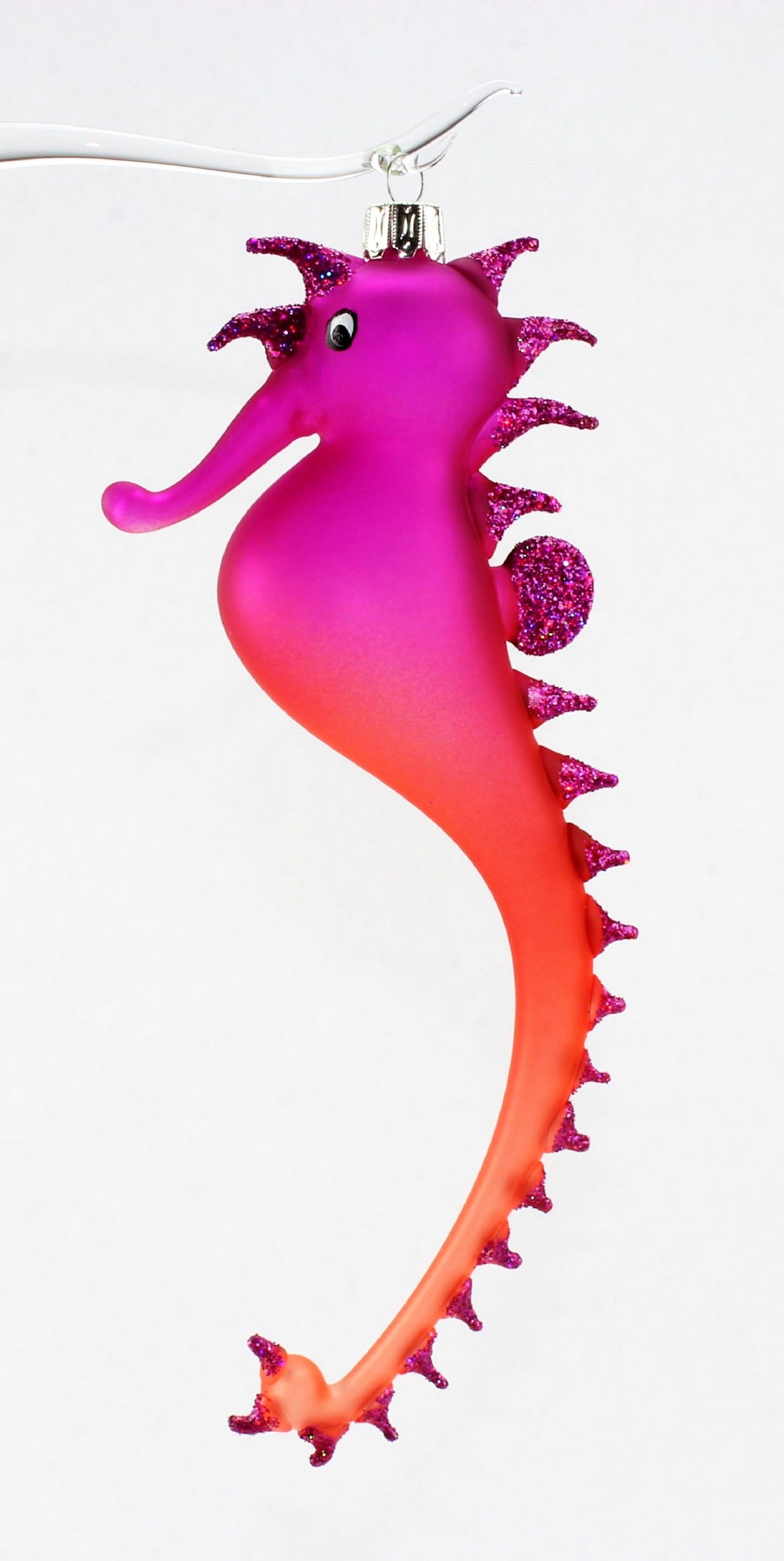 Hippocampe multicolore