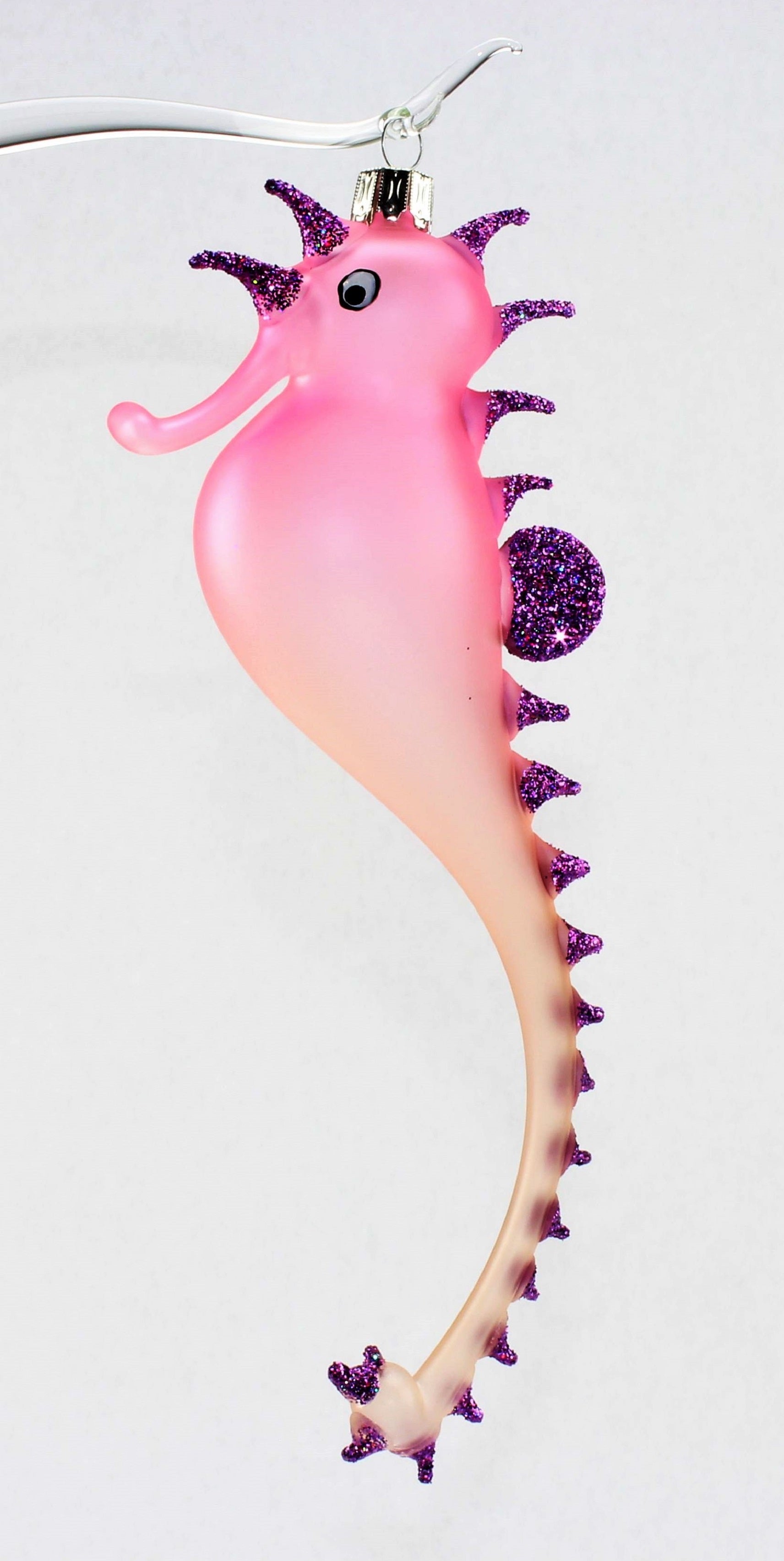 Hippocampe multicolore