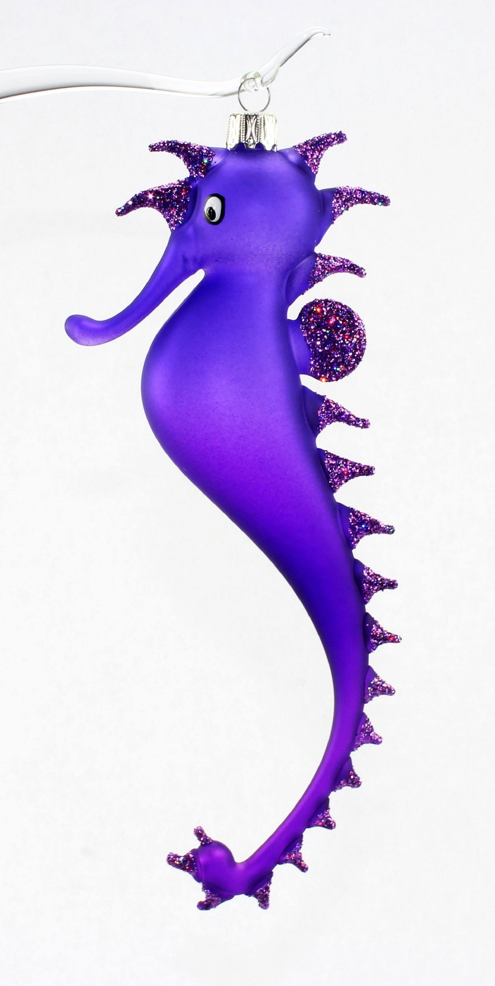Hippocampe multicolore