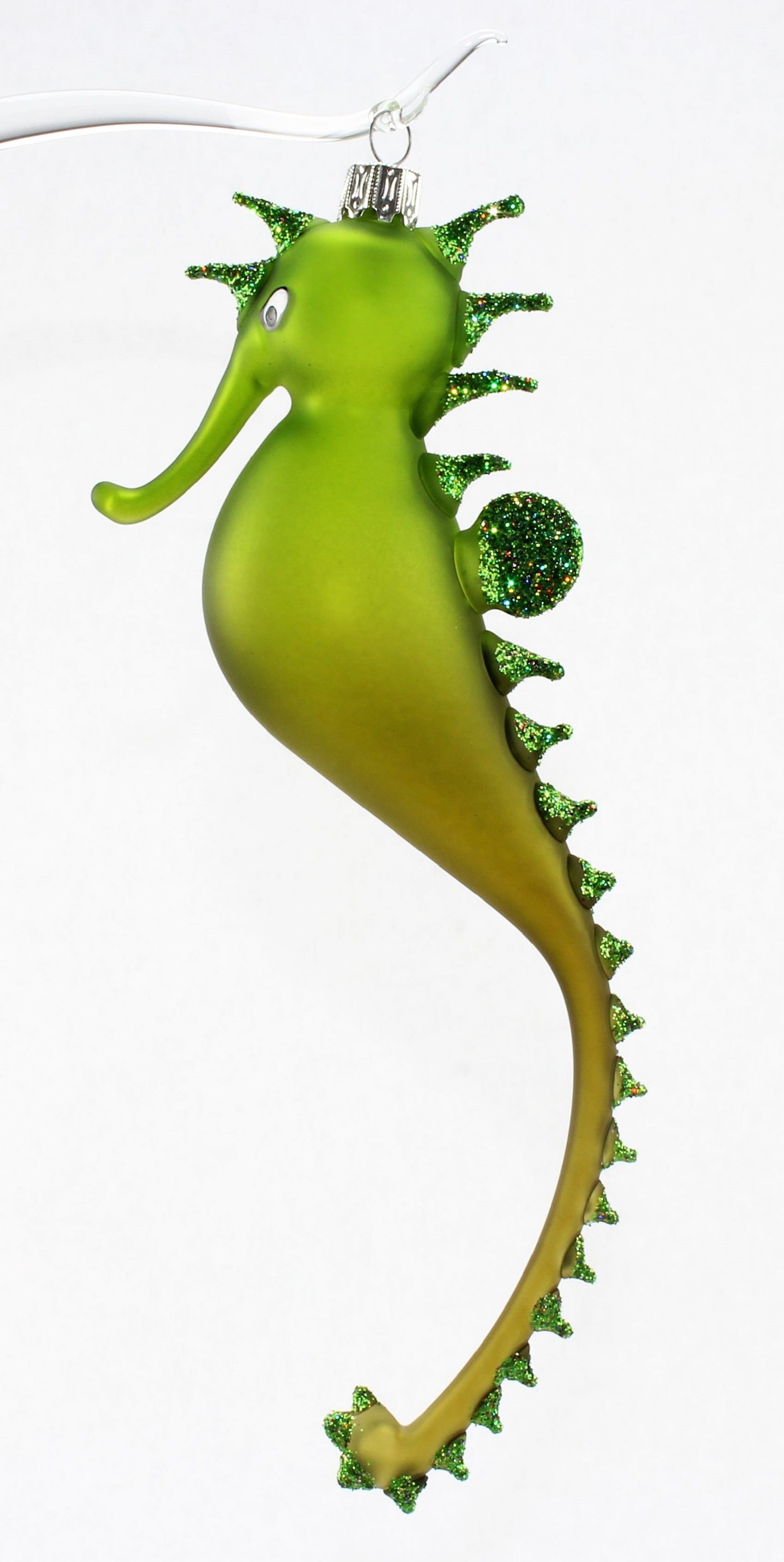 Hippocampe multicolore