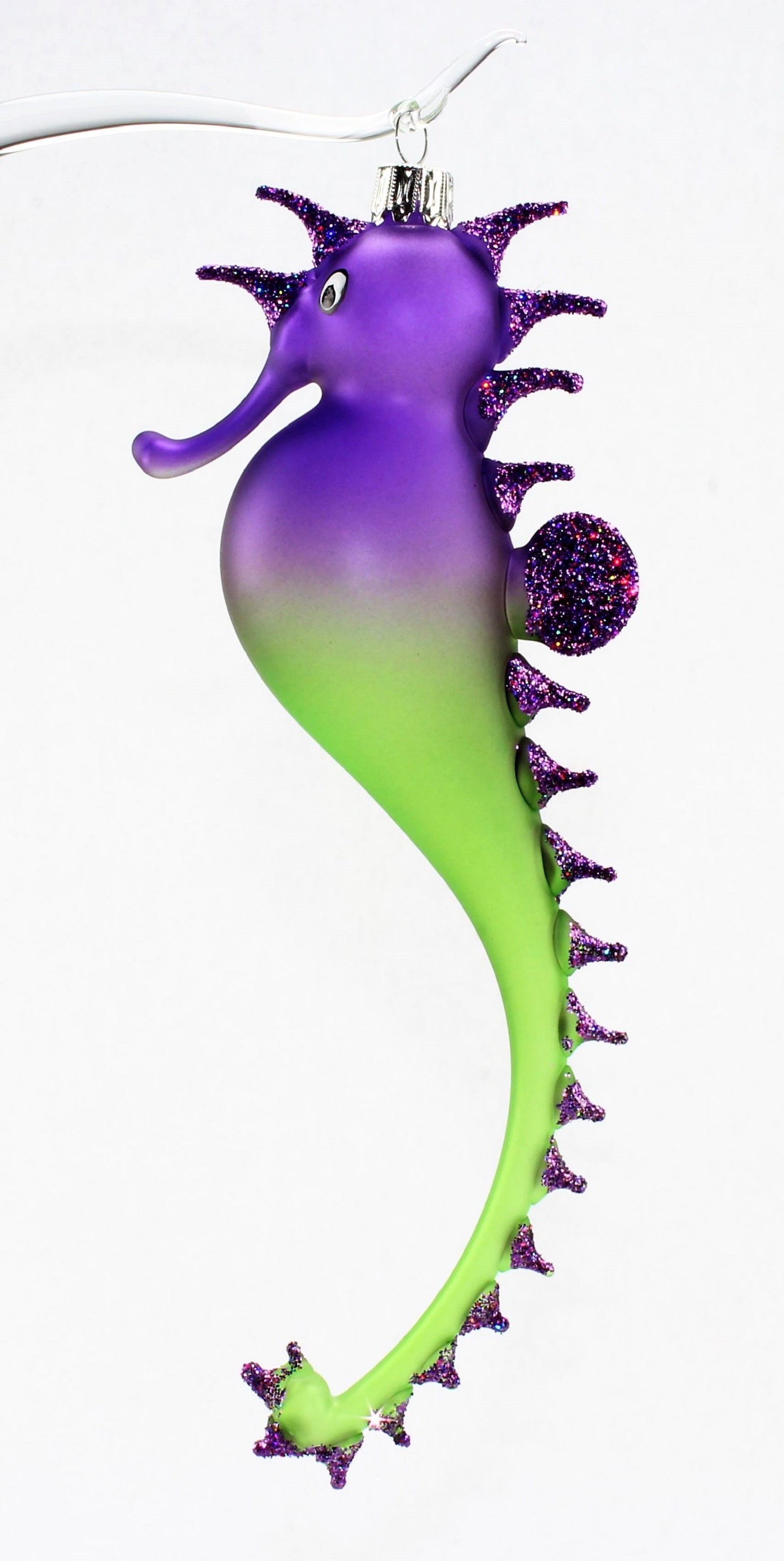 Hippocampe multicolore