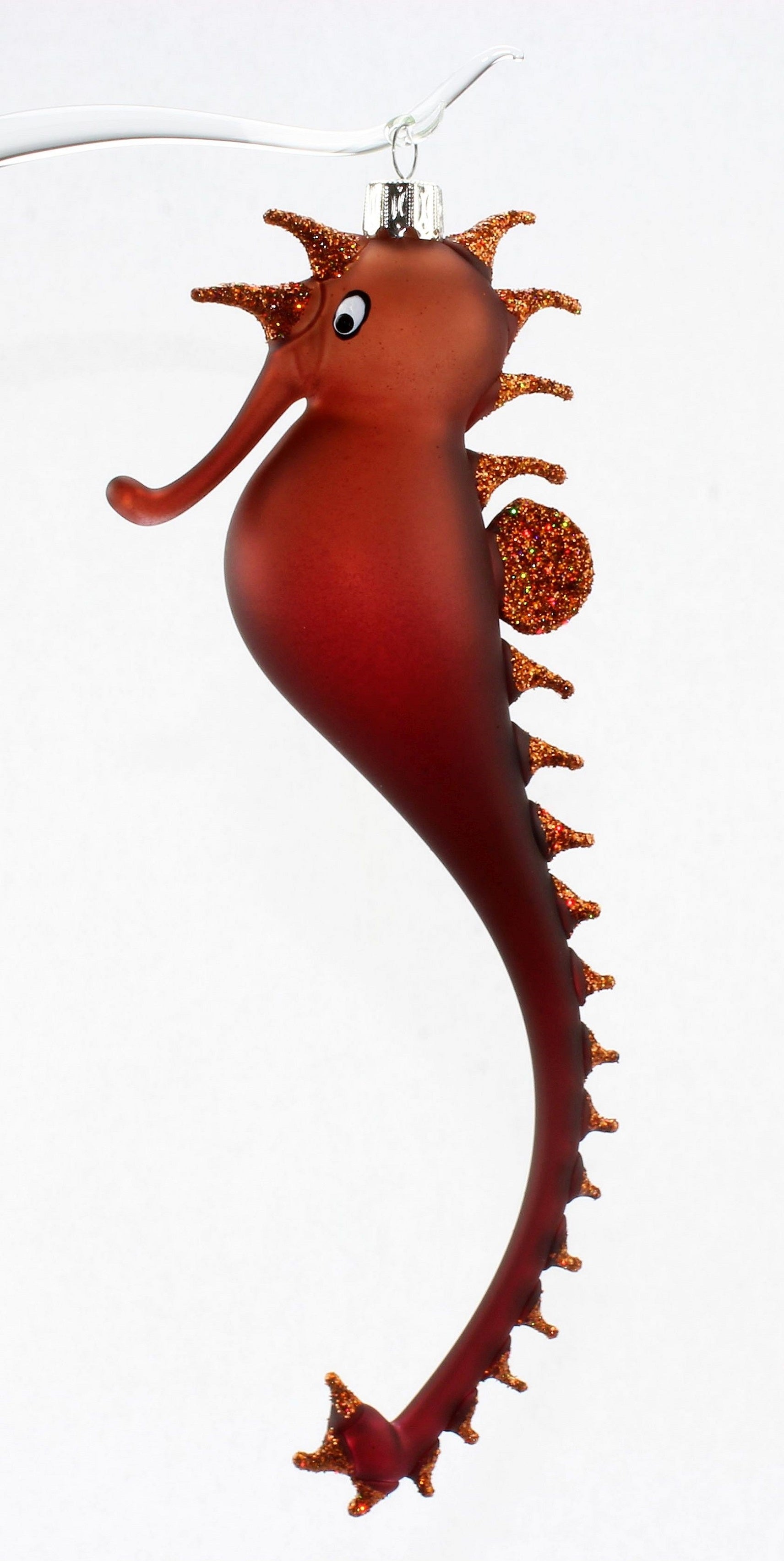 Hippocampe multicolore