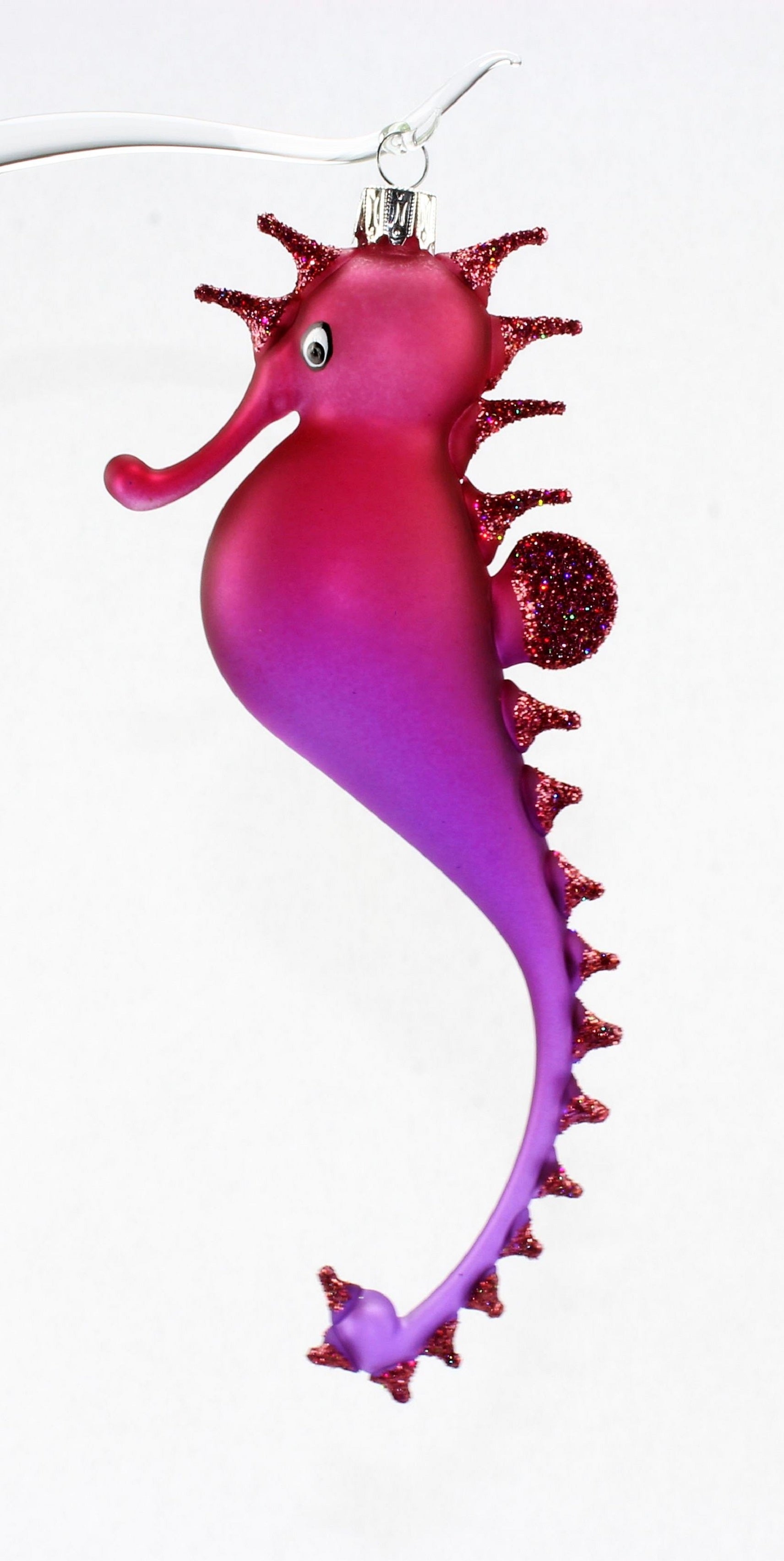 Hippocampe multicolore