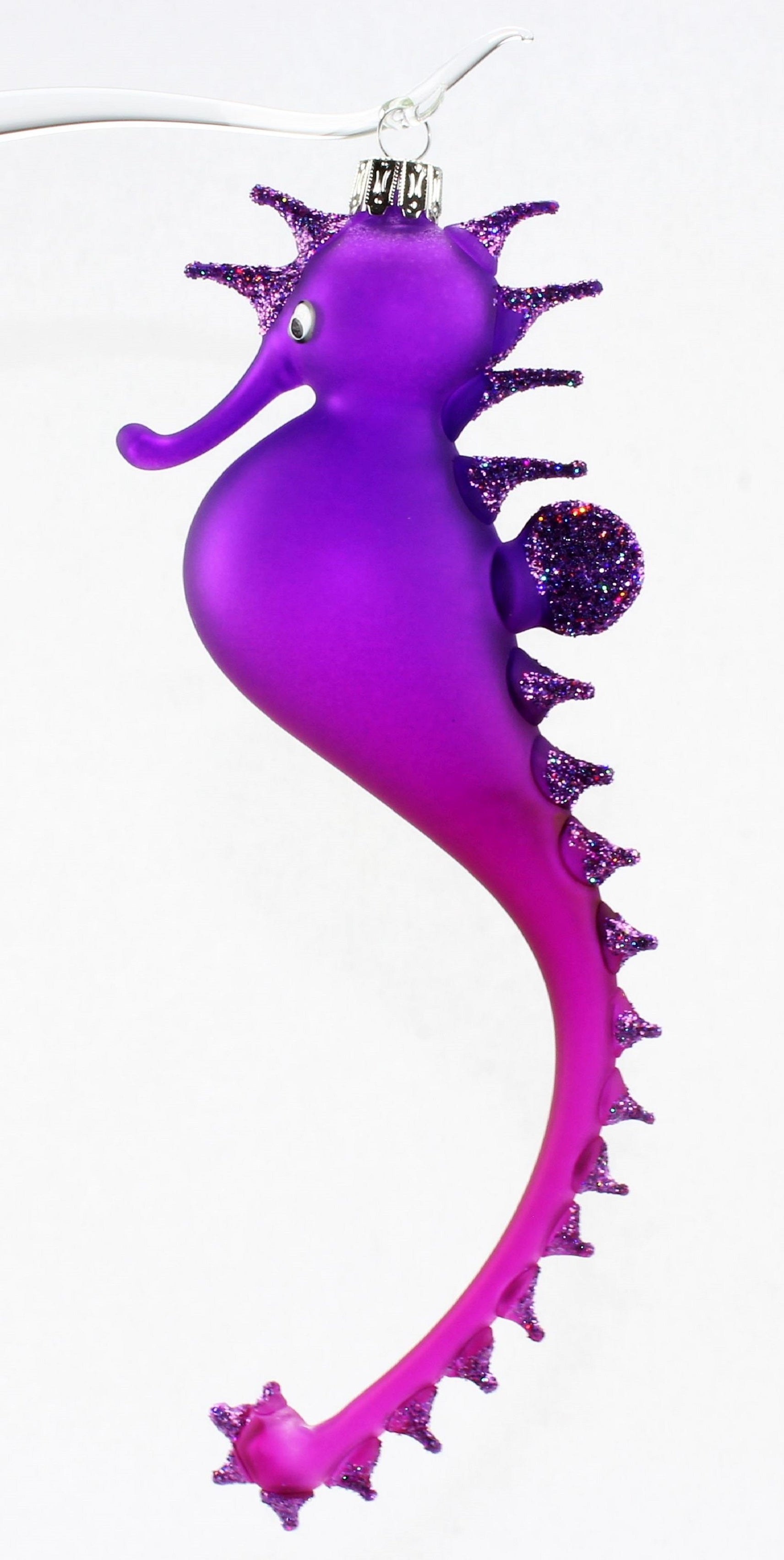 Hippocampe multicolore