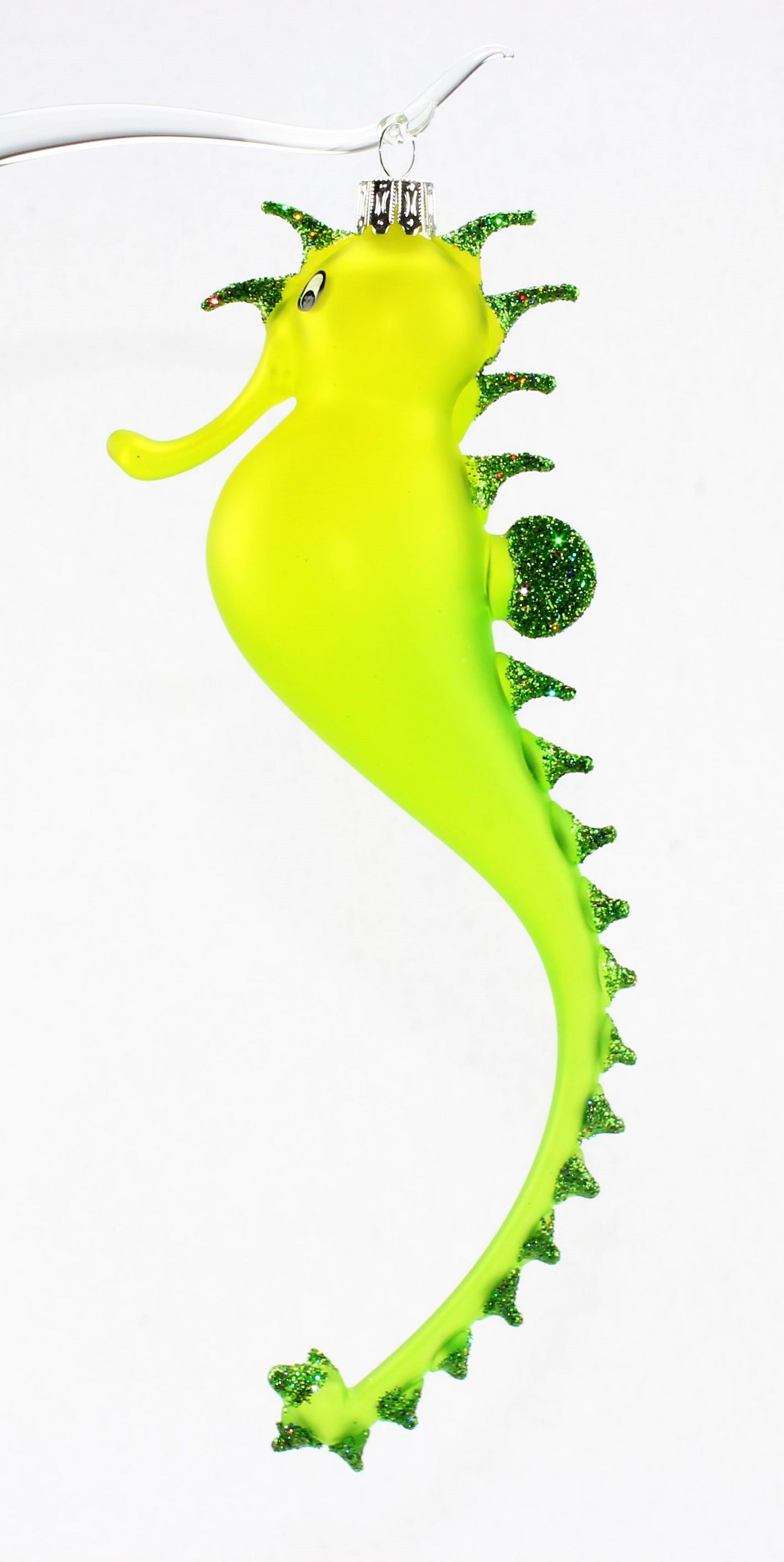 Hippocampe multicolore