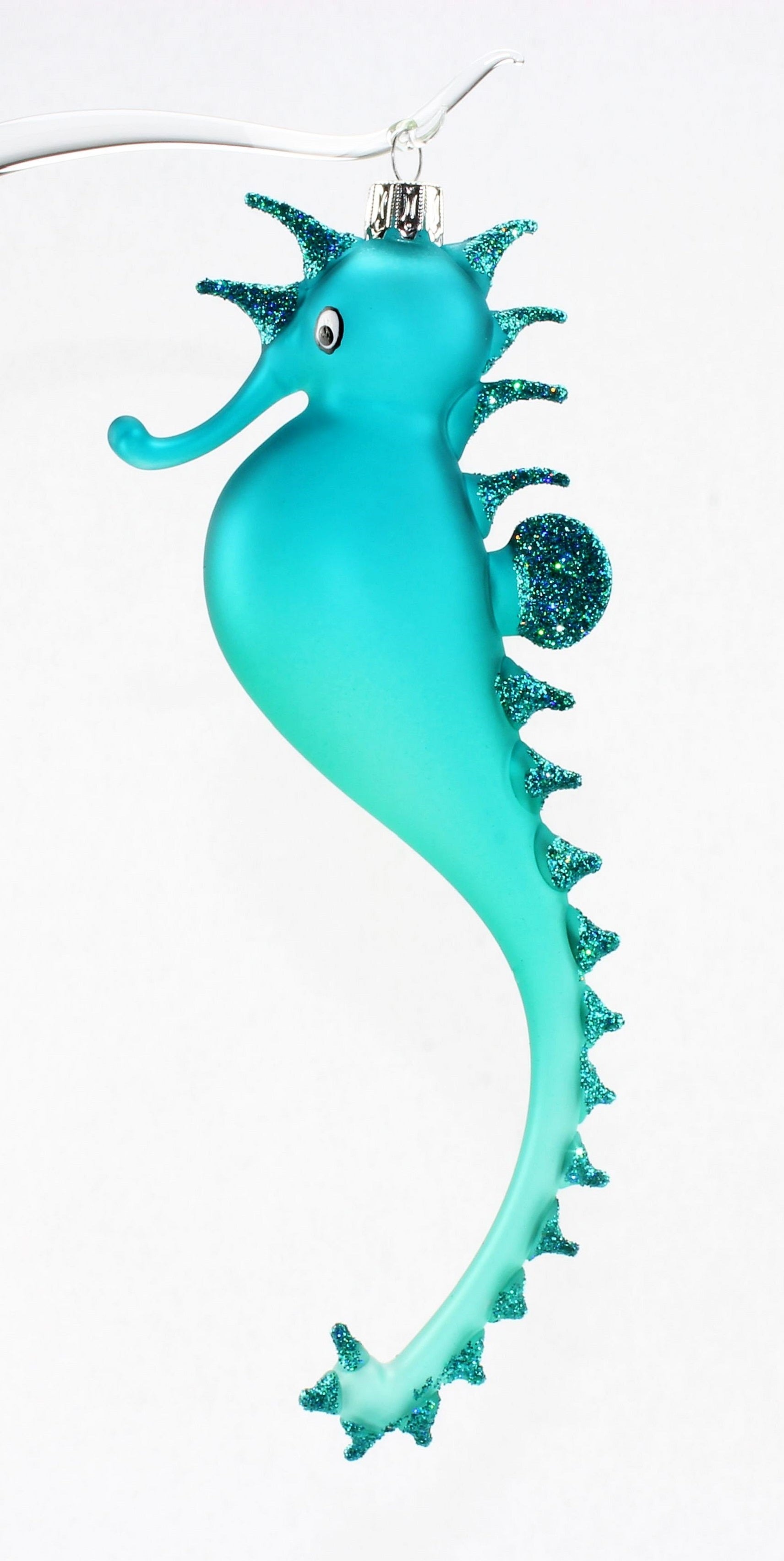 Hippocampe multicolore