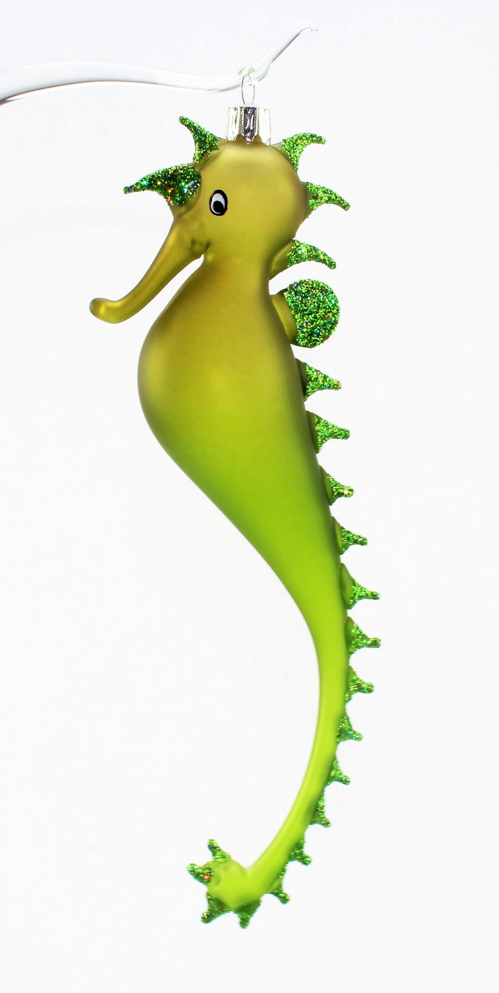 Hippocampe multicolore