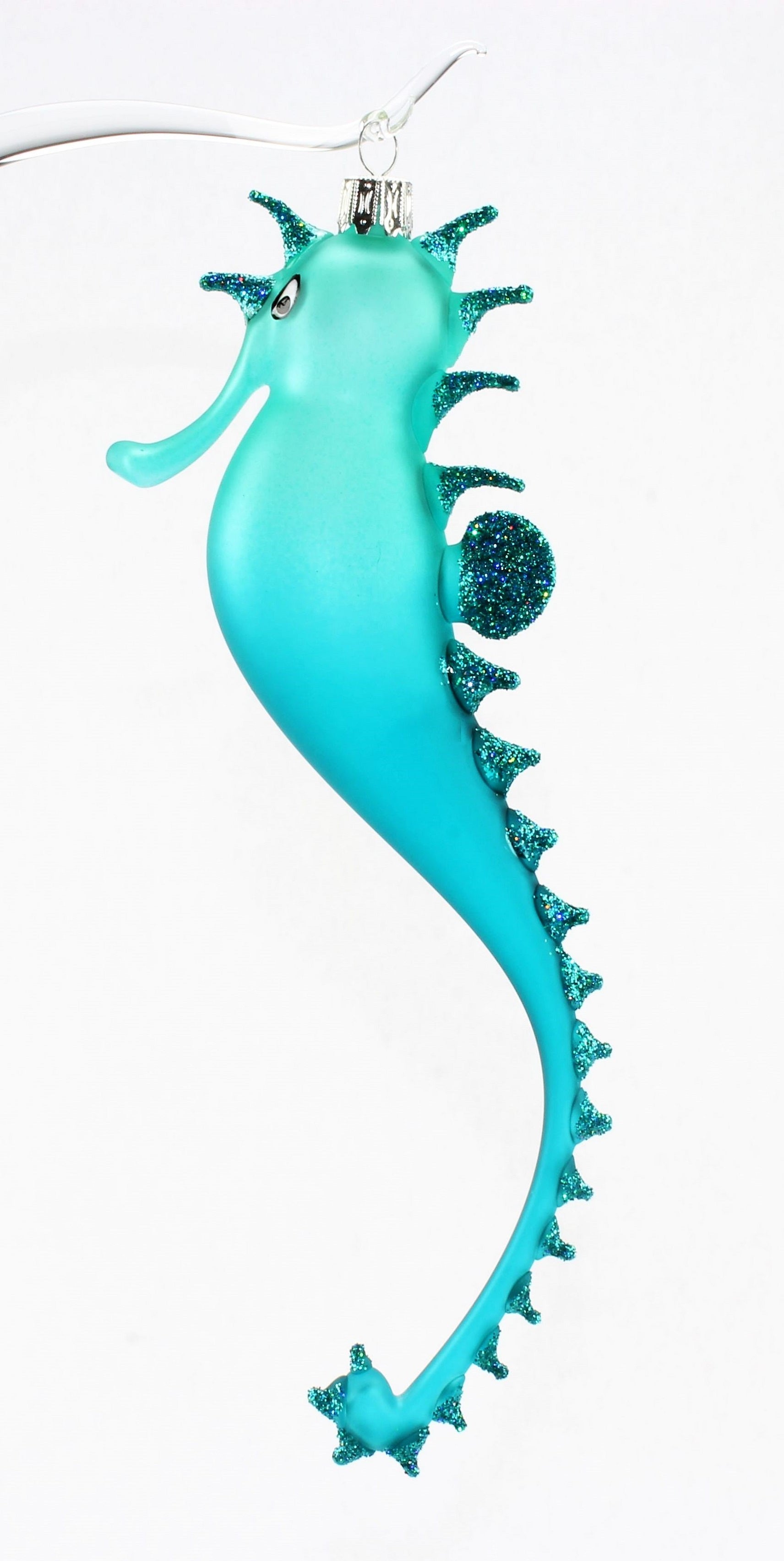Hippocampe multicolore