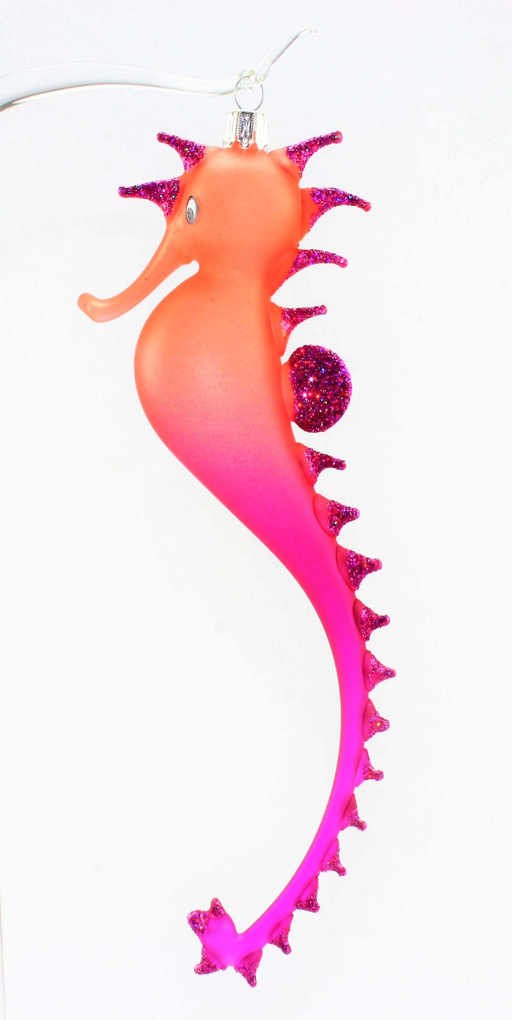 Hippocampe multicolore