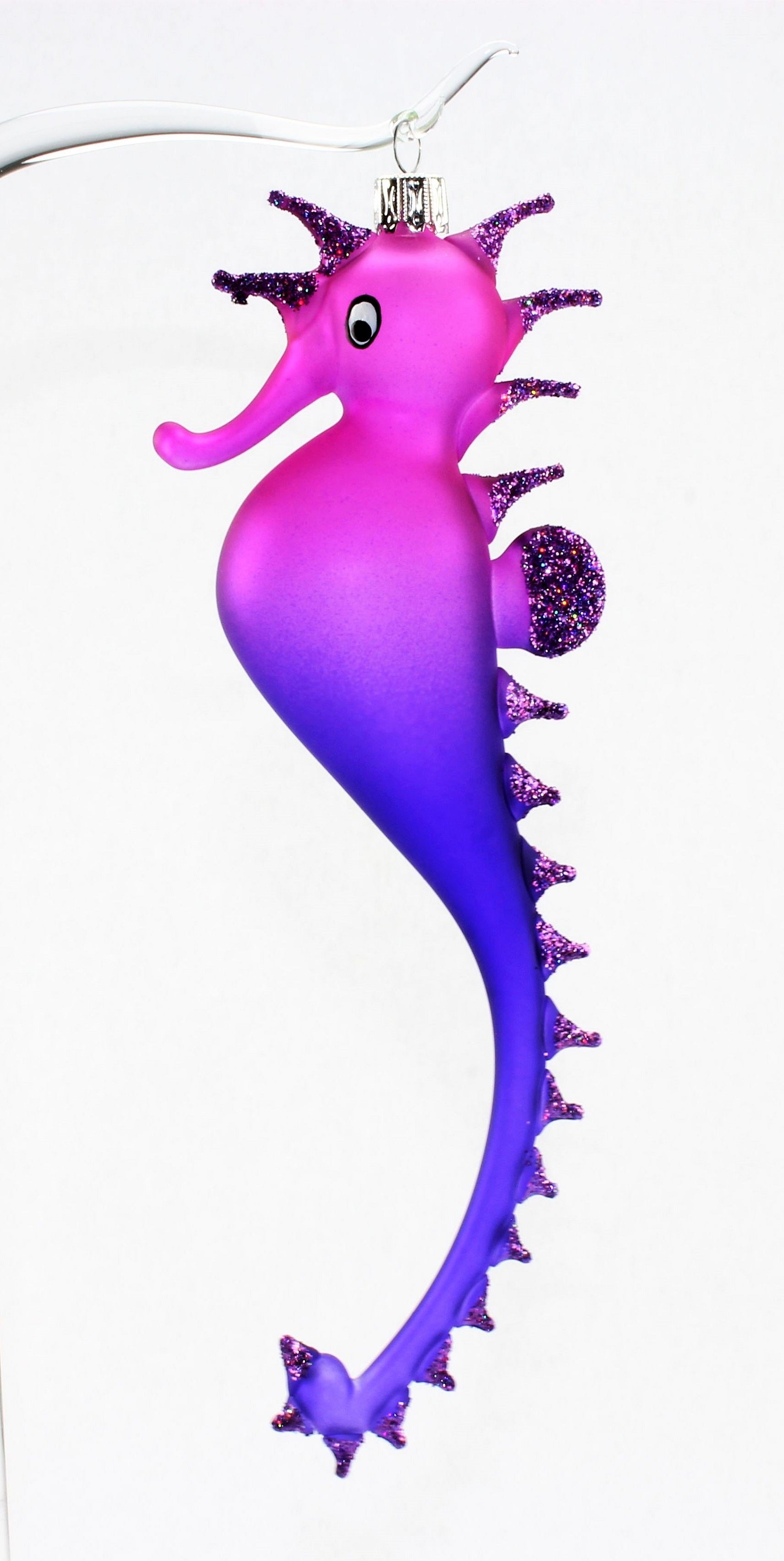 Hippocampe multicolore