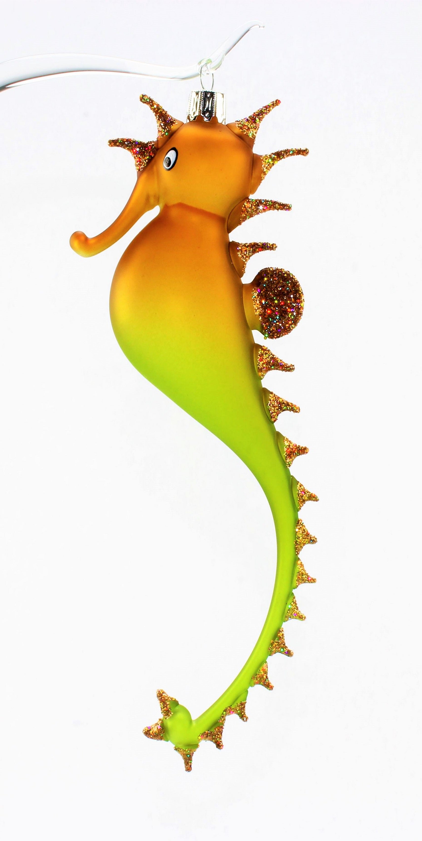 Hippocampe multicolore