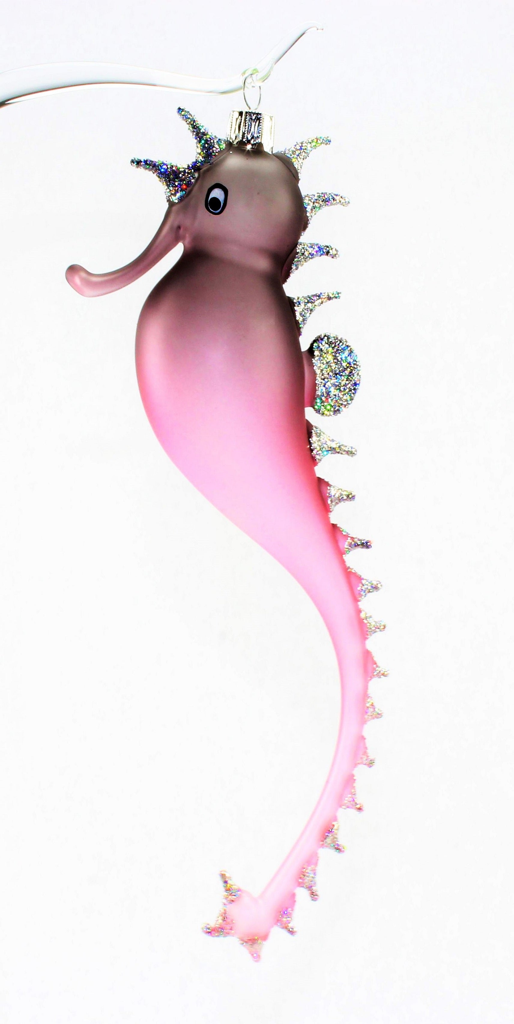 Hippocampe multicolore