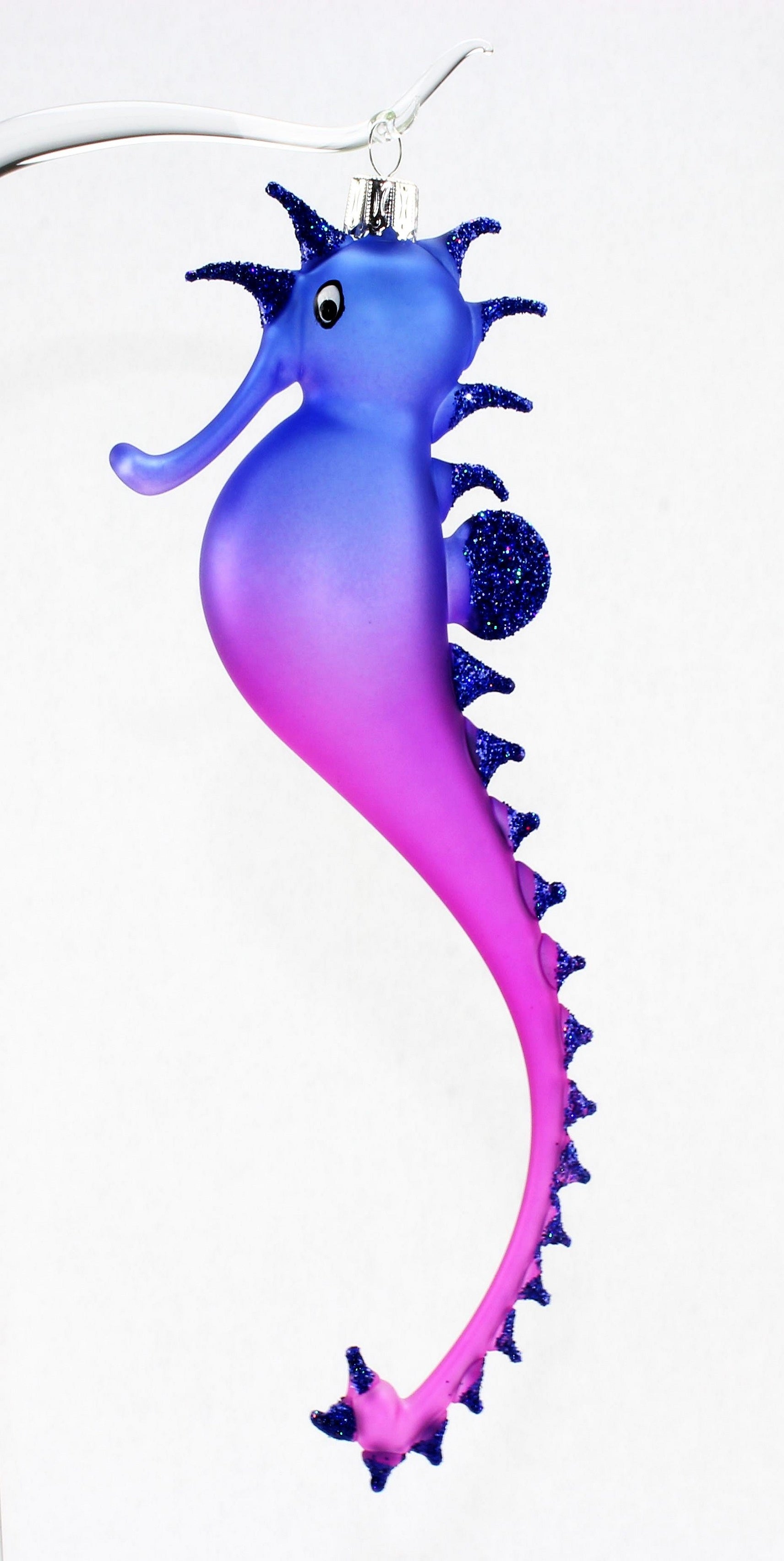 Hippocampe multicolore