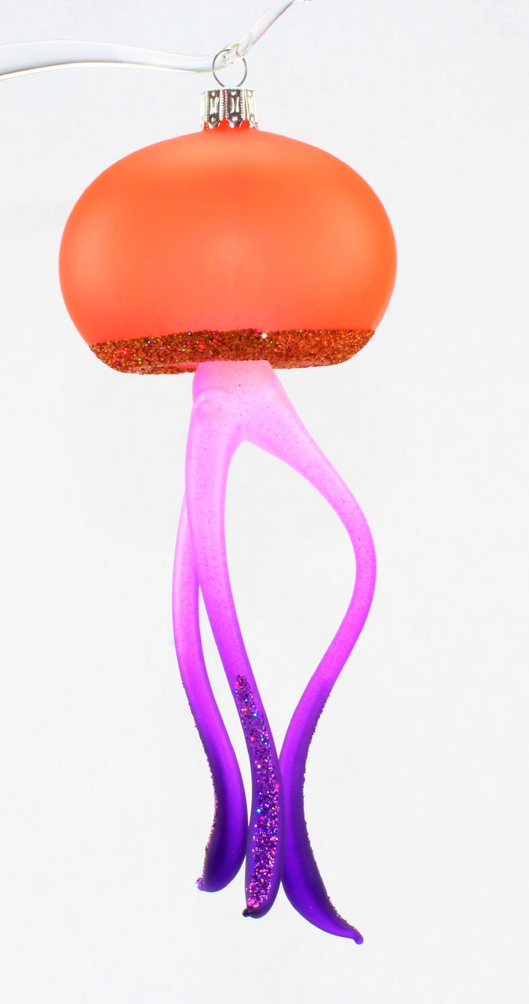 Méduse multicolore