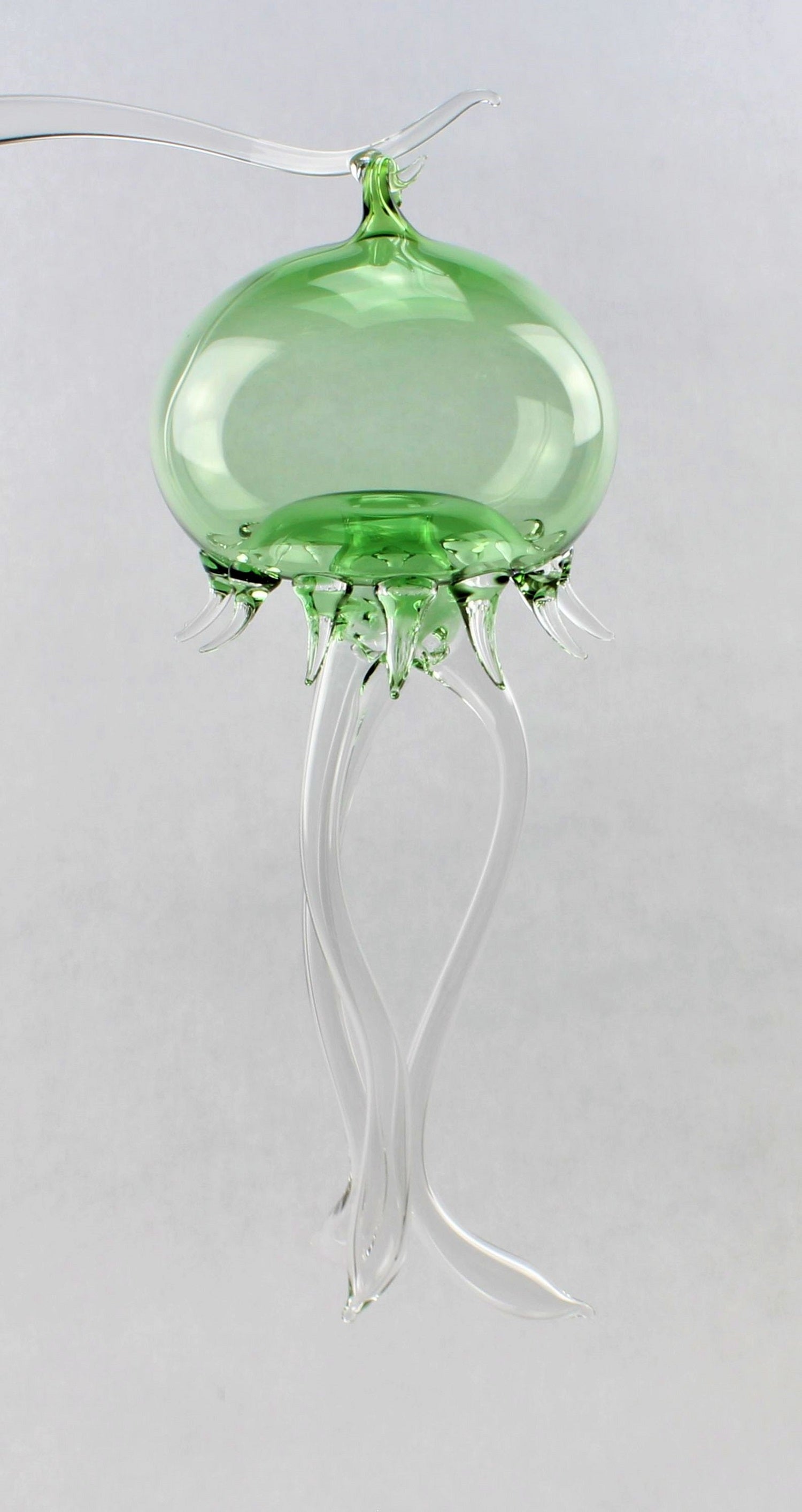 Medusa, color cristallo, lunghezza 20-22 cm, materiale: vetro borosilicato