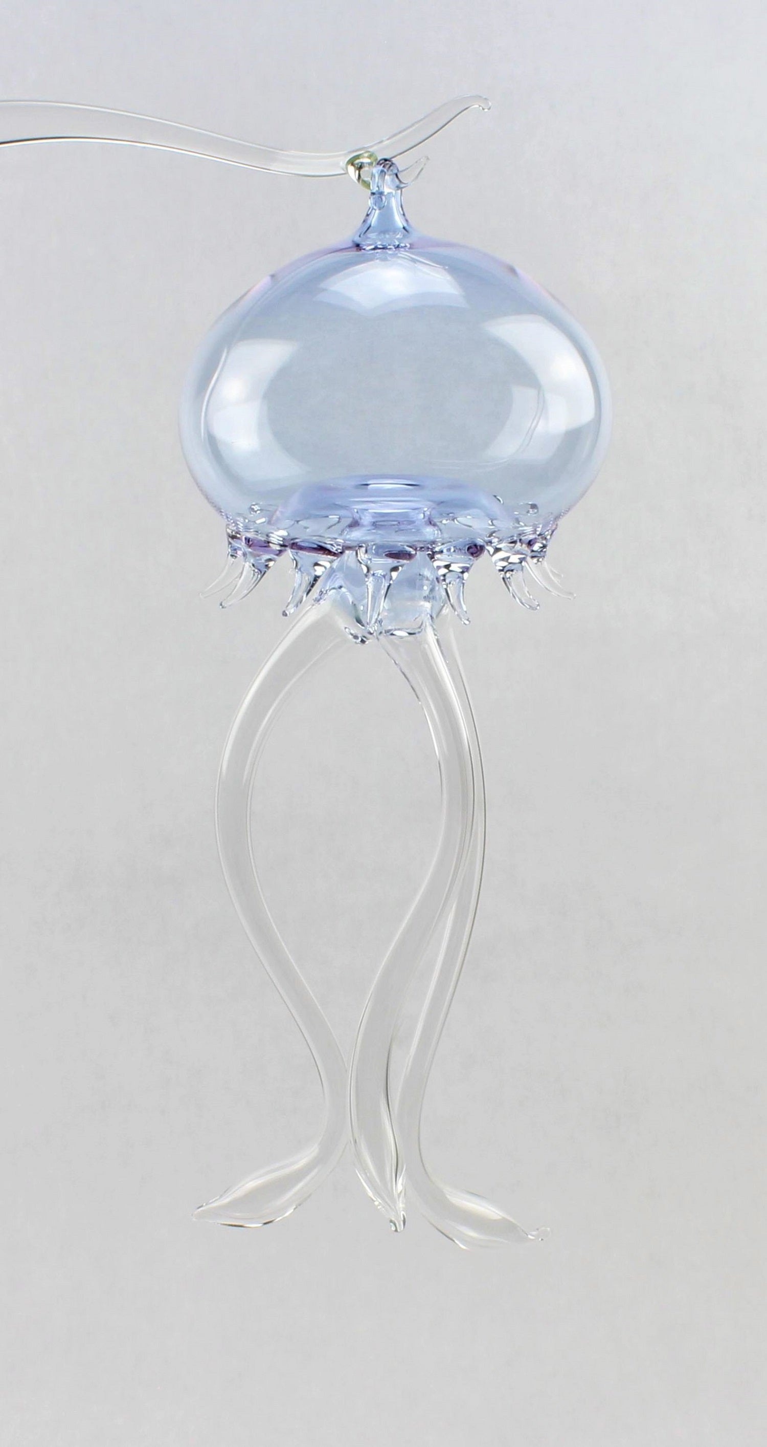 Medusa, color cristallo, lunghezza 20-22 cm, materiale: vetro borosilicato