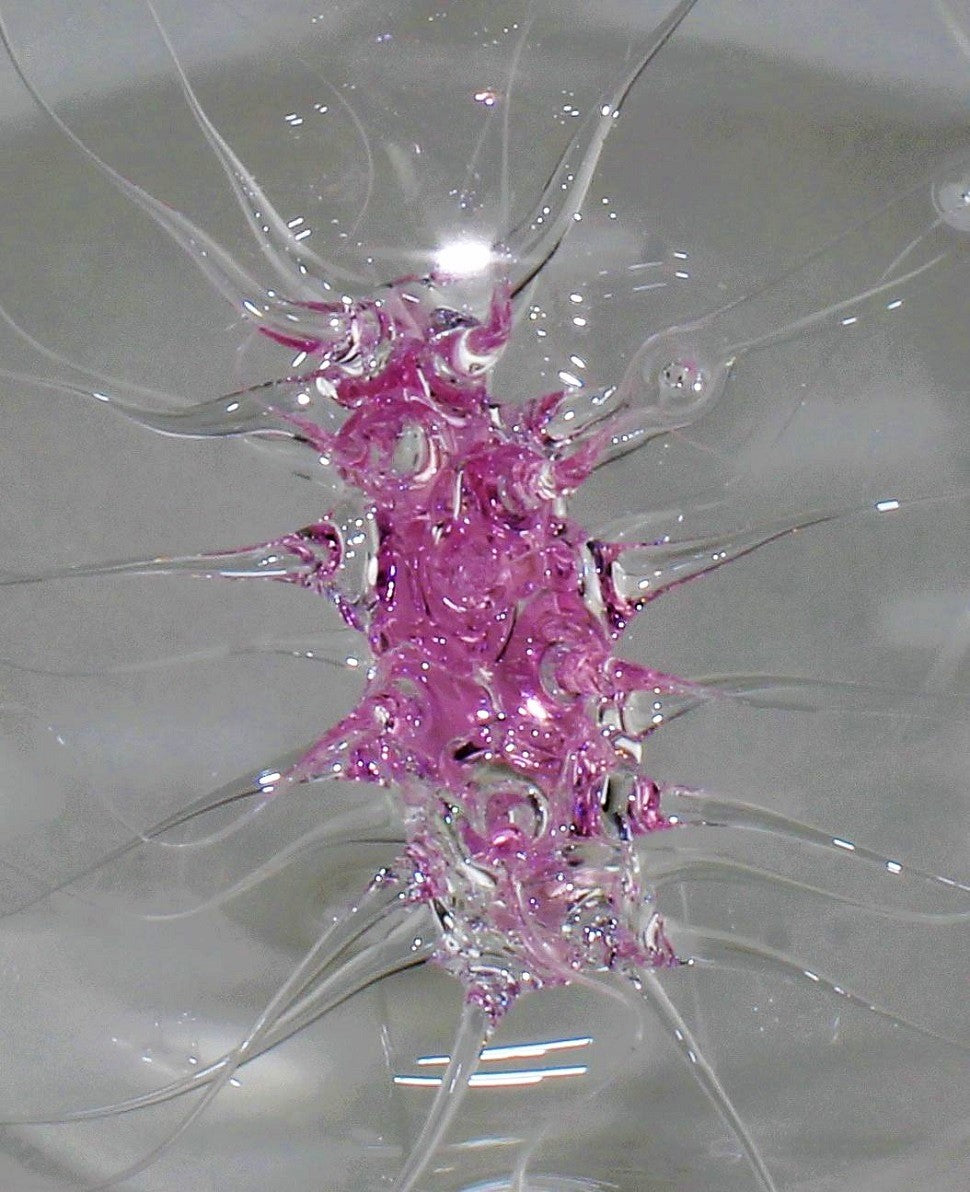 Boule d'araignée rose