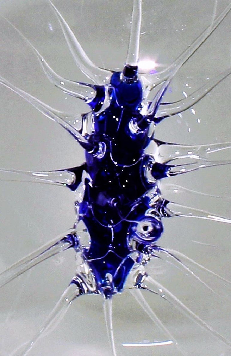 Palla di ragno blu scuro