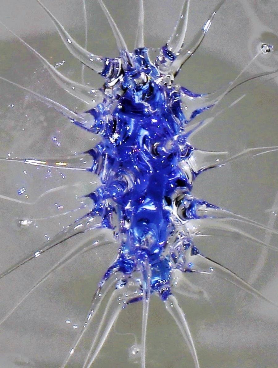 Boule d'araignée bleue