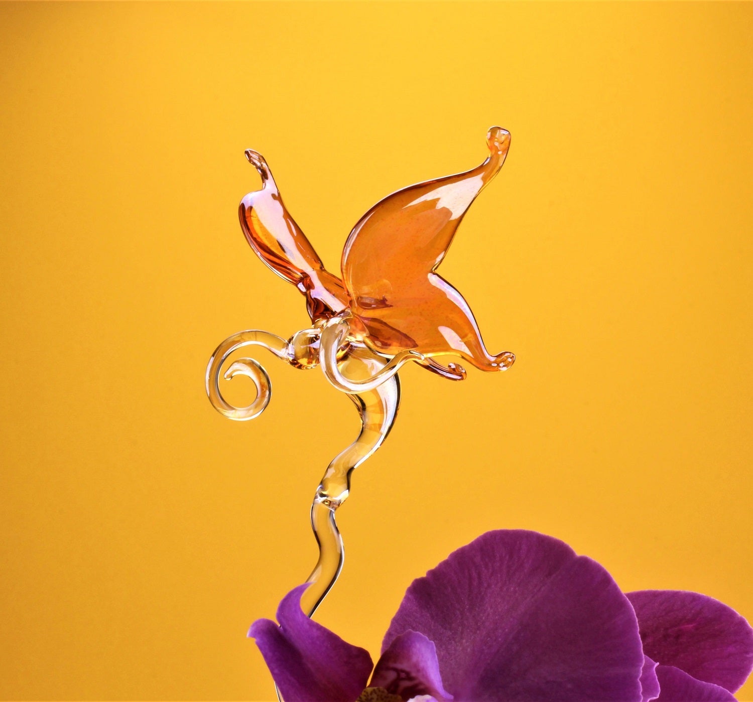 Orchideen Stab farbig , Schmetterling