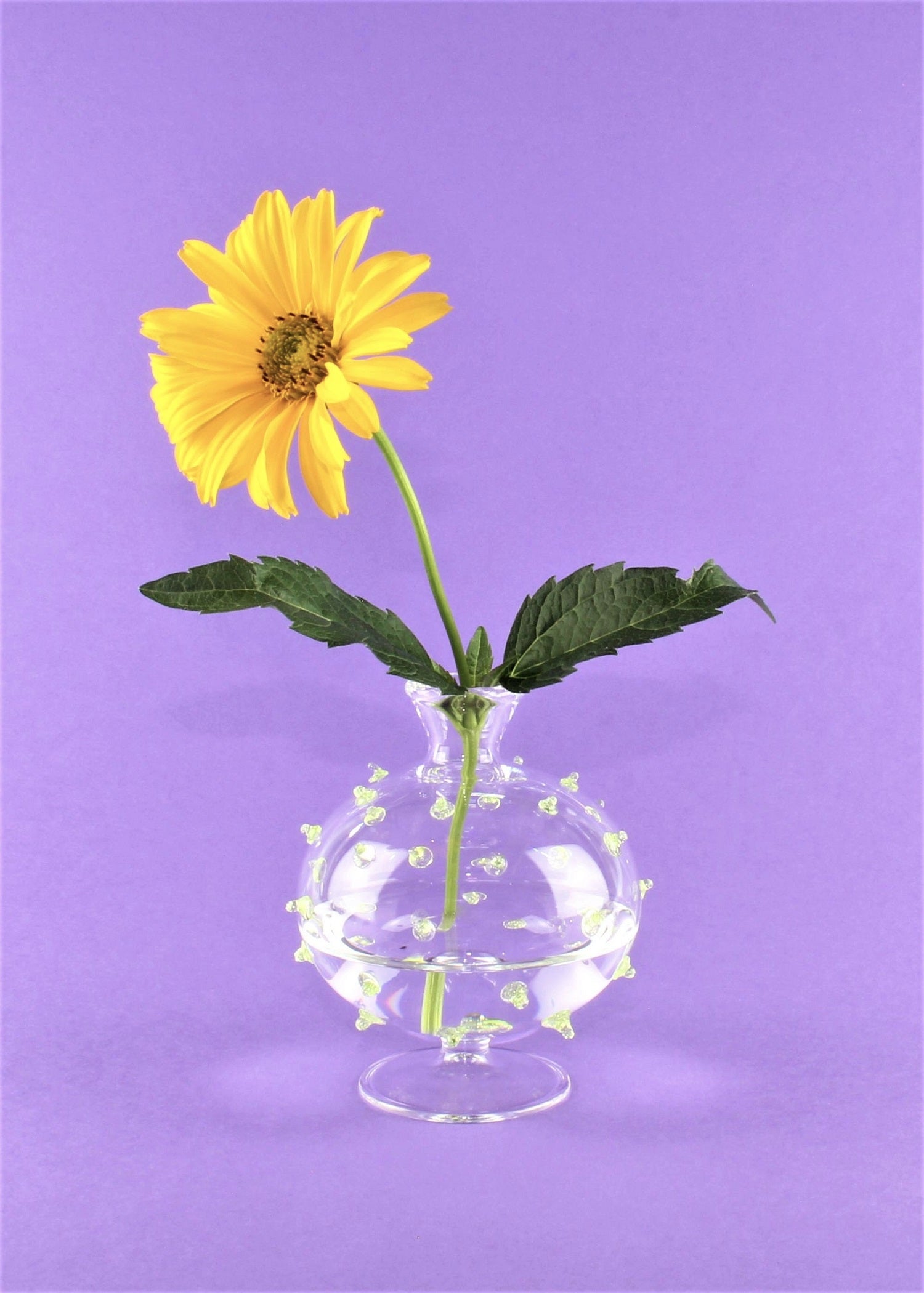 Vase für kleine Blumen "meine Kleine",  rund