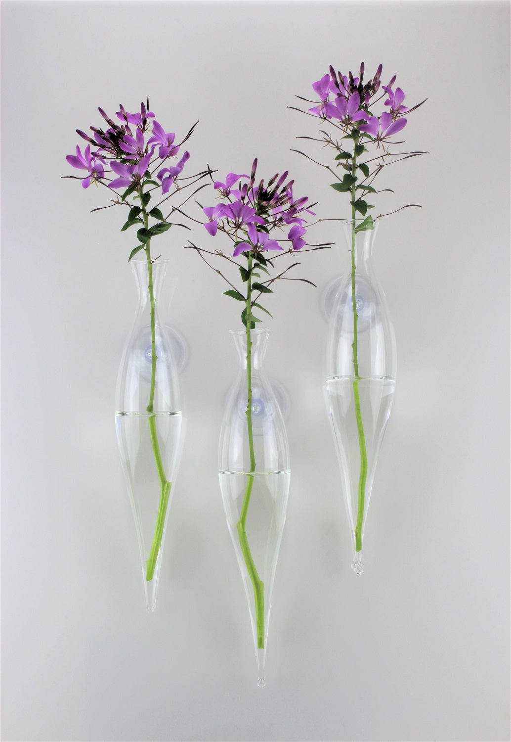 Fenster Vase lang